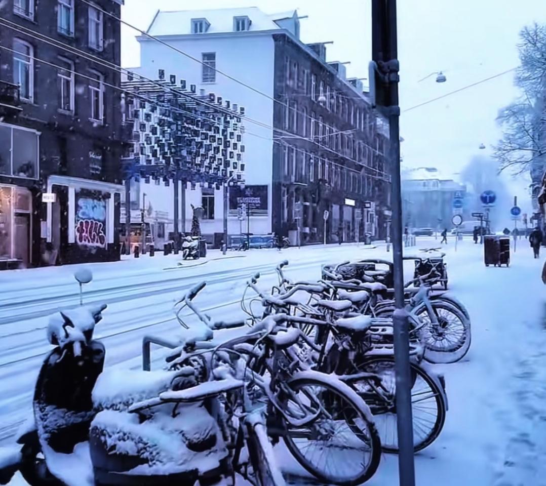 今年的圣诞，和元旦期间在荷兰，巴黎度过的。荷兰遭遇了六十年罕见的大雪，巴黎也是五