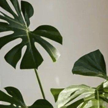 当你珍惜自己的过去，满意自己的现在，乐观自己的未来，你会是最幸福的 