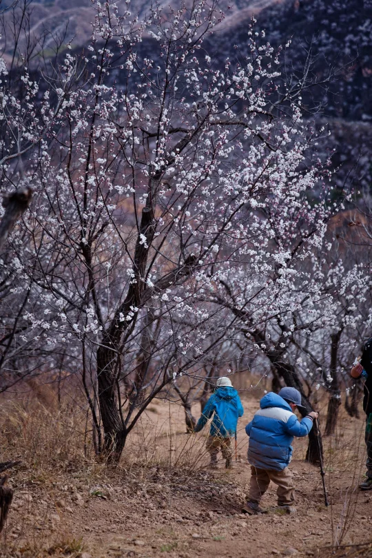 北京适合徒步的季节💟京郊10条路线推荐