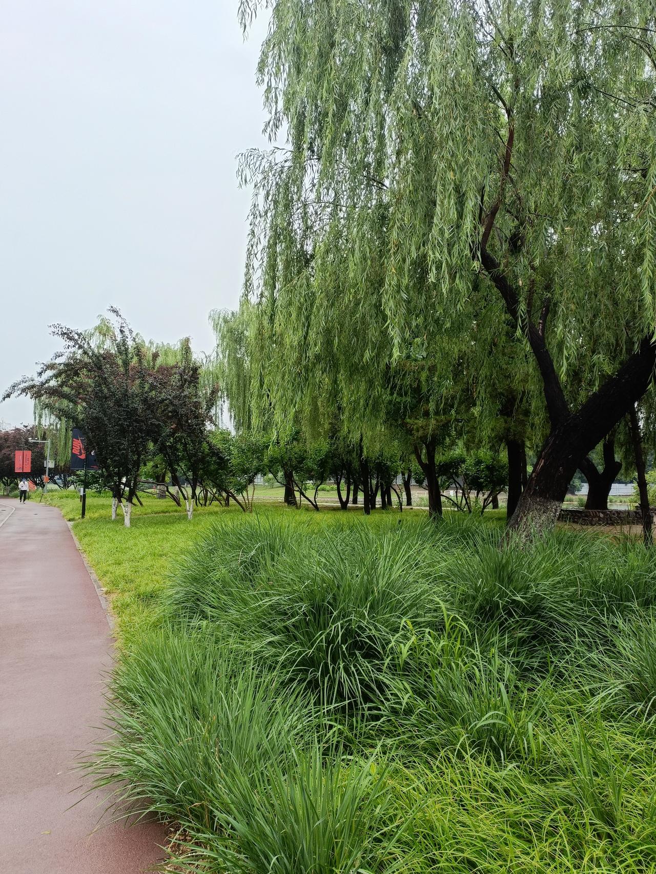 现在的教育能不能指望学校，这还真不好说。就拿高校合并来说，像长沙理工大学城南学院