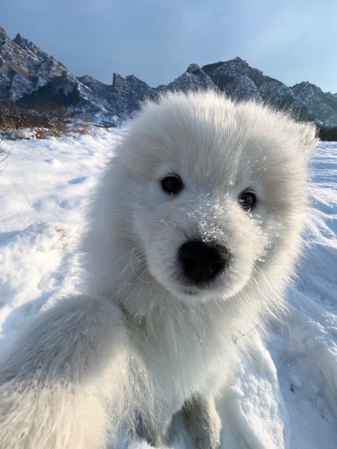 人，要不要一起玩雪 