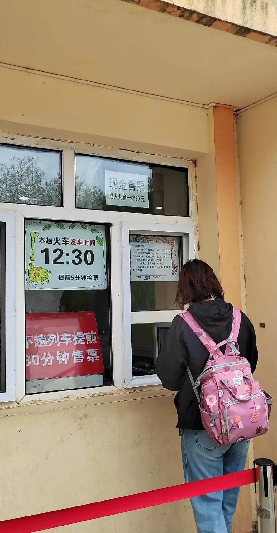 儿童公园的小火车已经开了很久了，但是不能网络支付，必须得拿现金这事只能是你去了才