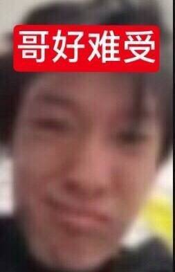 变成正规军模样 
