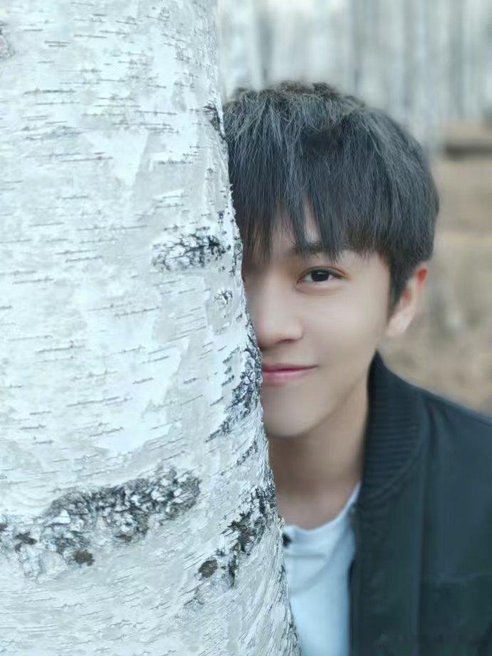 武艺时隔八年蛋糕拿对了吗亲爱的客栈趣味联动太好嗑，沈月贴心为武艺准备同款餐后蛋糕