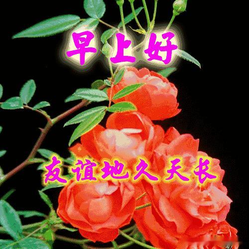 朋友们早上好行情开盘后延续昨日的下跌行情继续下探，暂时并未有明显的触底信号出现，