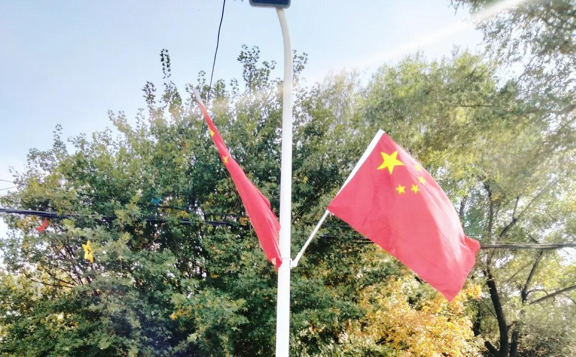 马年快马加鞭有好运，健康、快乐在身上，“钱程似锦”步步高，阖家幸福皆安康！