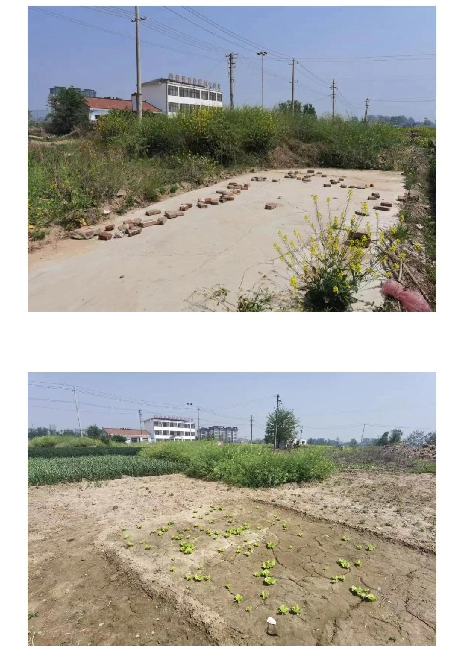 即将消失的东明县西袁旗营

袁旗营前身名甫桥（普桥）村，明永乐年间（1403-1