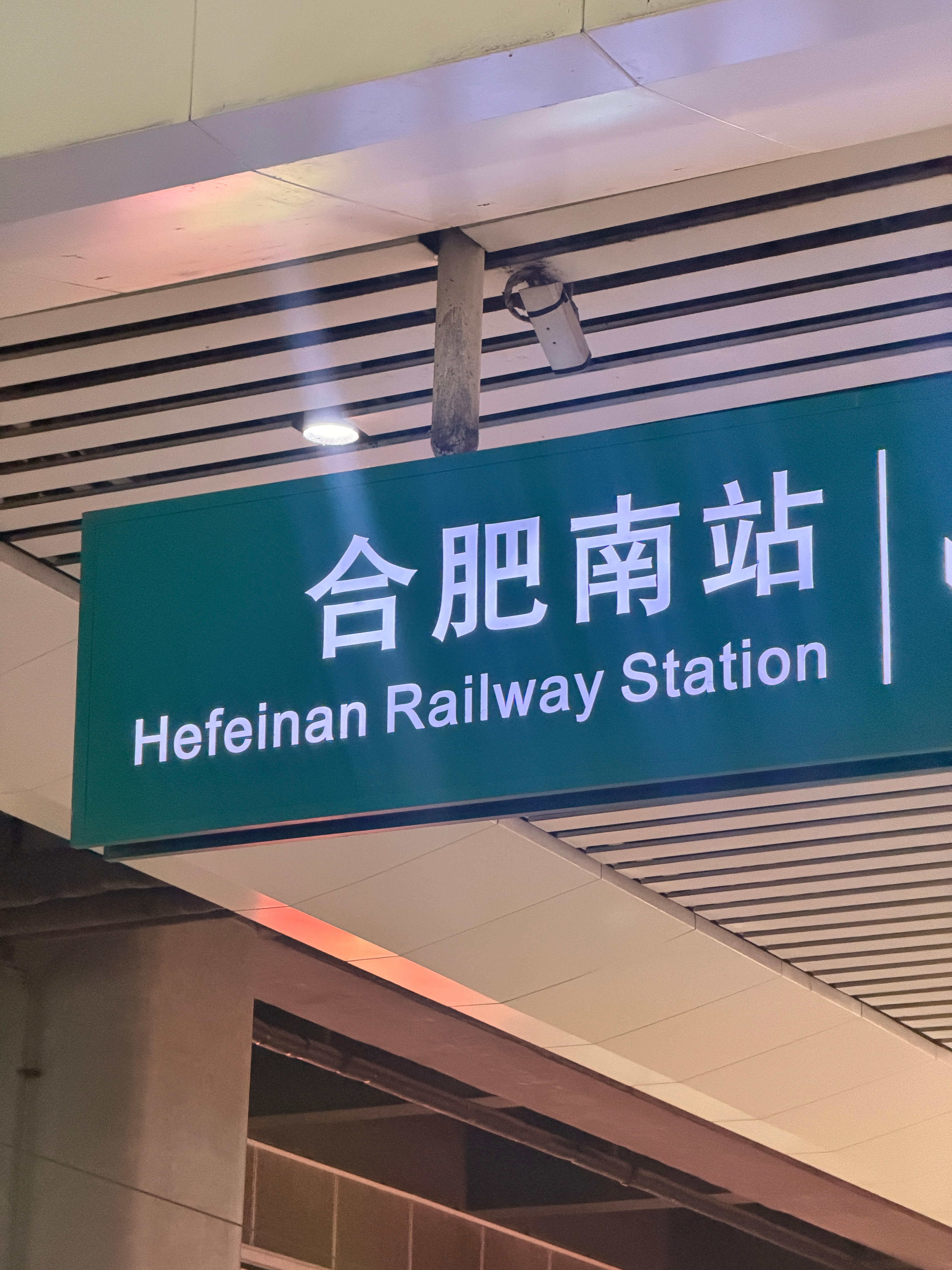假期结束啦🔚胖豆到合肥啦！ 合肥·合肥南站