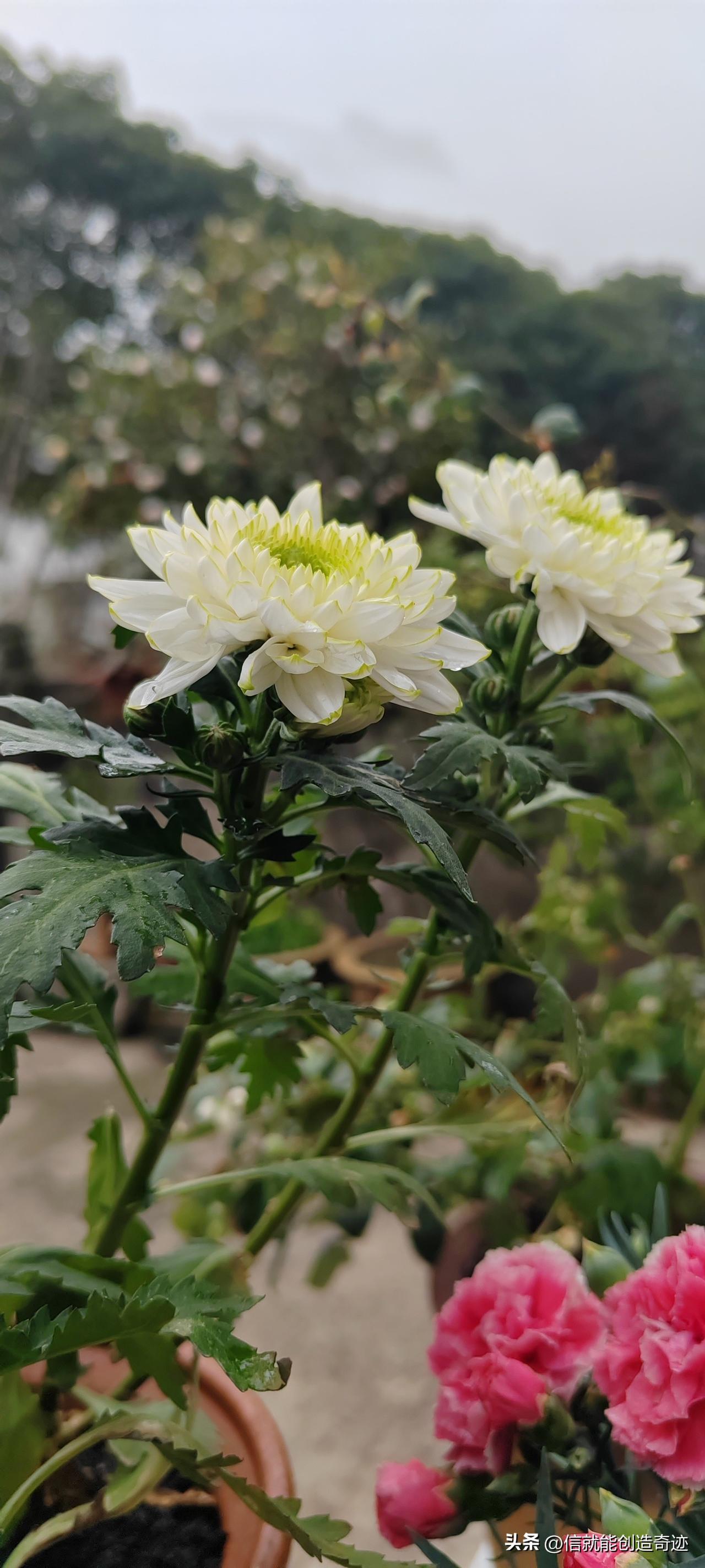 分享一下你随手拍的照片