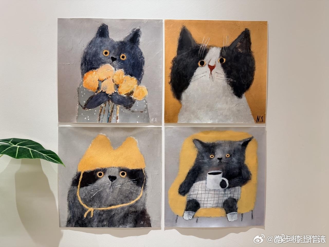 慵懒假期生活的写照 （