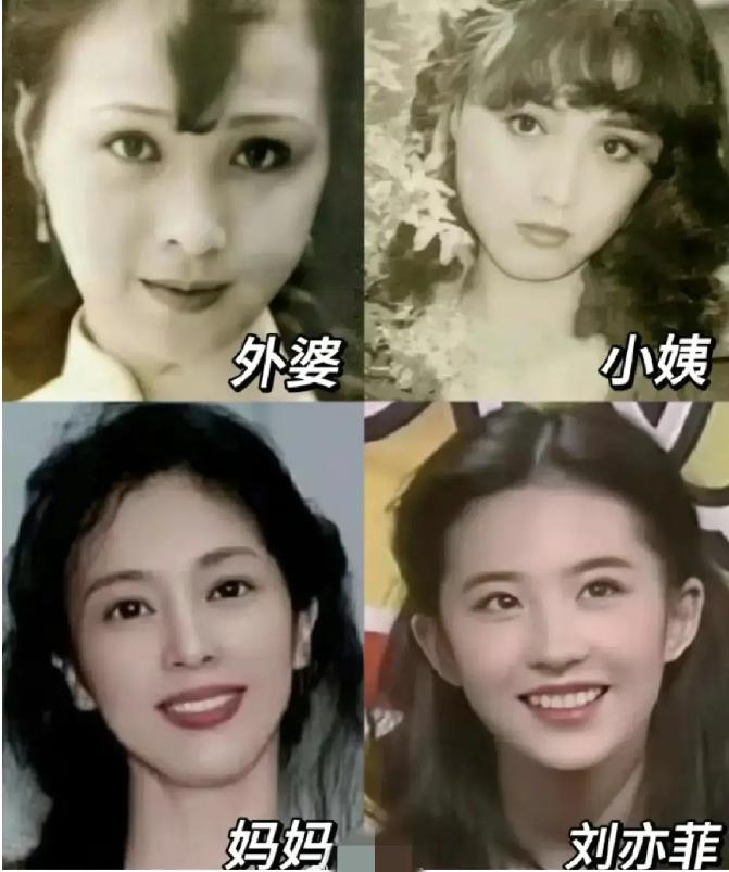 对不起，刘亦菲，我看上你小姨了！神仙姐姐的外婆、妈妈、 小姨和本尊。#刘亦菲#