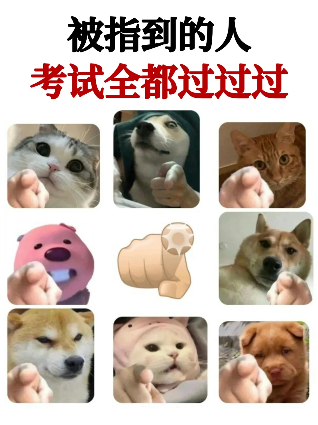 ❗❗被指到的人都能如愿以偿💯💯…