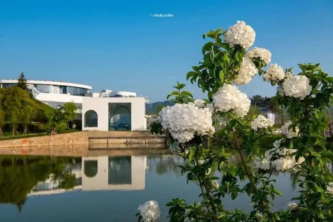 稳健投资，慢就是快！根据以往比亚迪特斯拉英伟达谷歌A等走势验证，战时科技行业受损