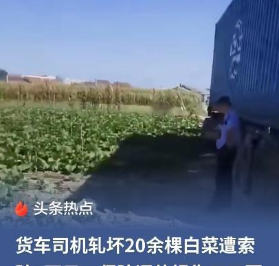 辽宁，一货车司机倒车时，不小心压坏农户20多棵白菜，对方开口就让他赔5000。司