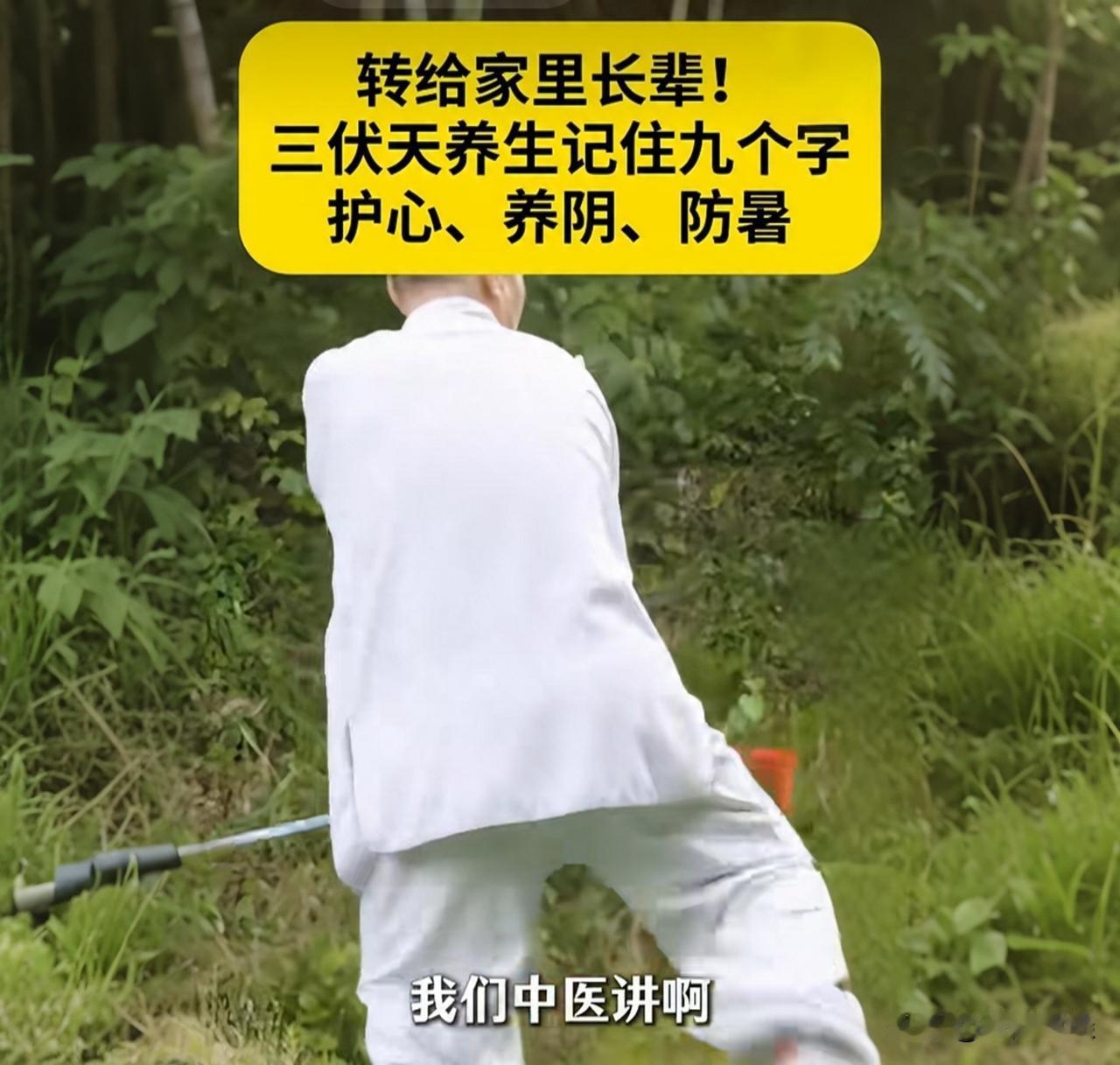 入伏了！整整40天，一年里最难熬的日子来了。

今年这个三伏天可不一般，7月15