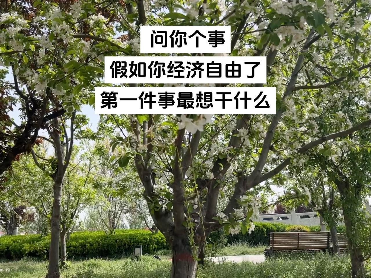经济自由 提问