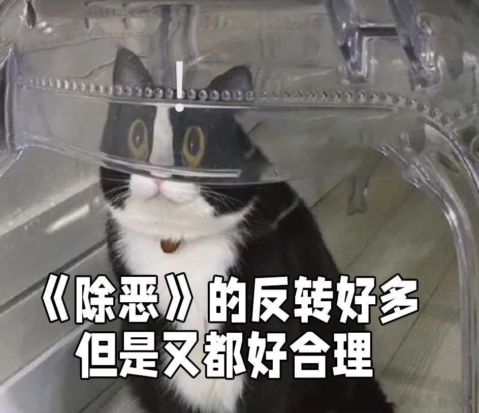 除恶剧情欧亨利式反转《除恶》真的越看越上头，反转密集又合理，每个人的结局看似意外