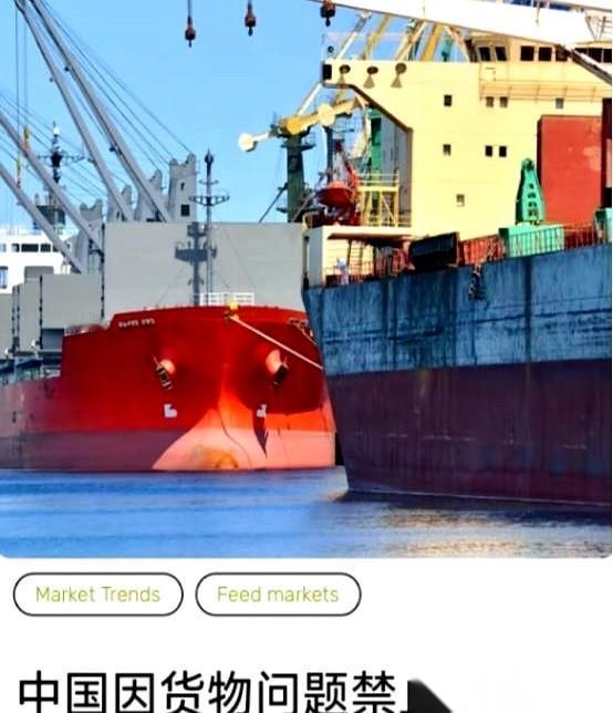 一船69000吨的大豆，直接被咱们拒之门外了。
巴西来的。
有人觉得咱们市场大，