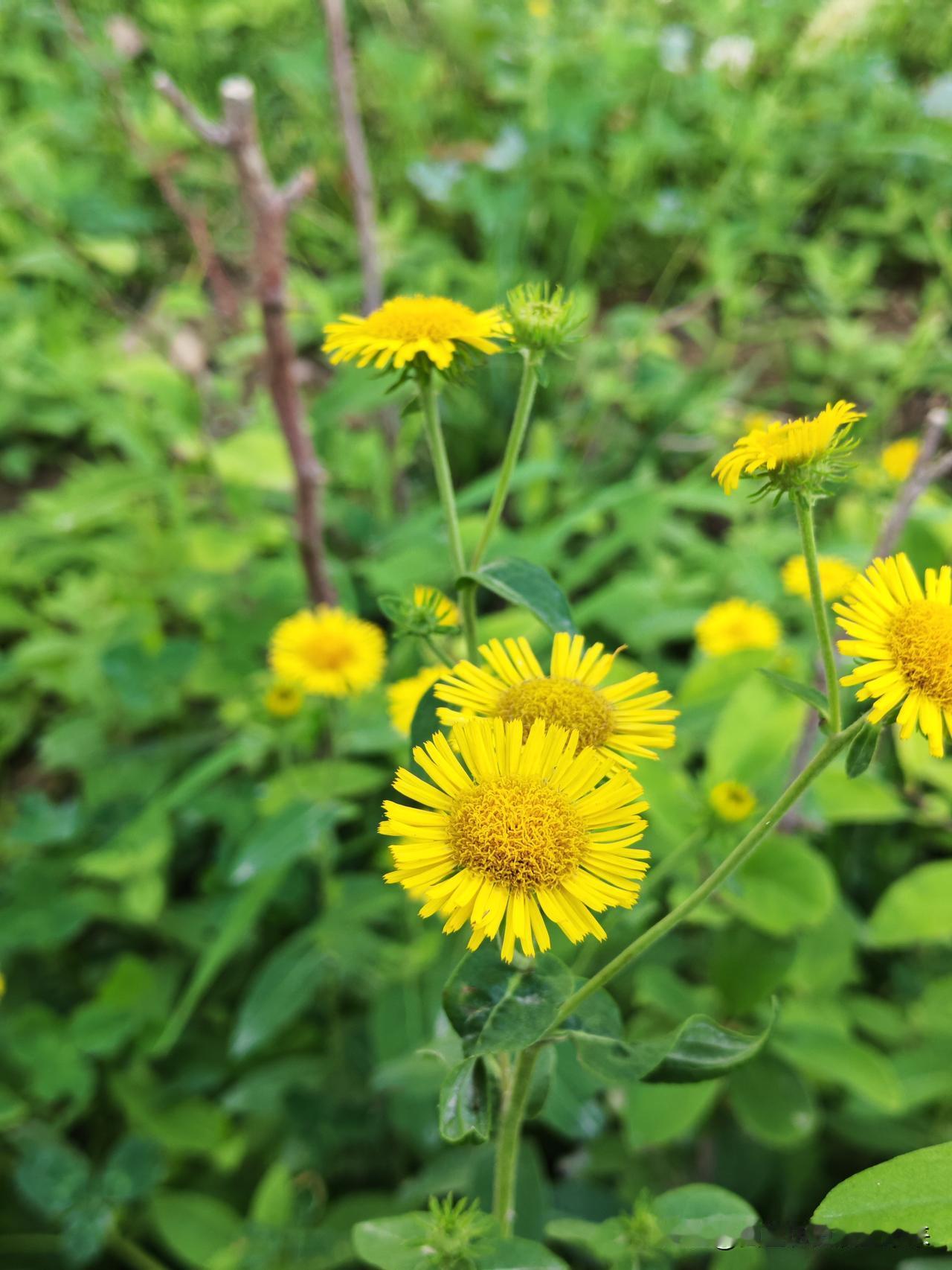 夏日生活打卡季