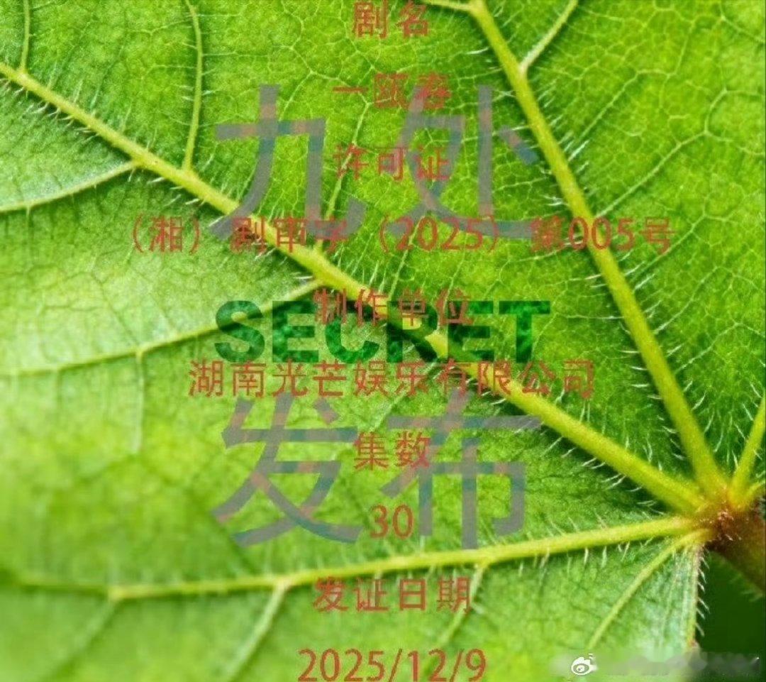 许凯 周也主演电视剧《一瓯春》过审下证了～ 