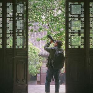 我是羊羊