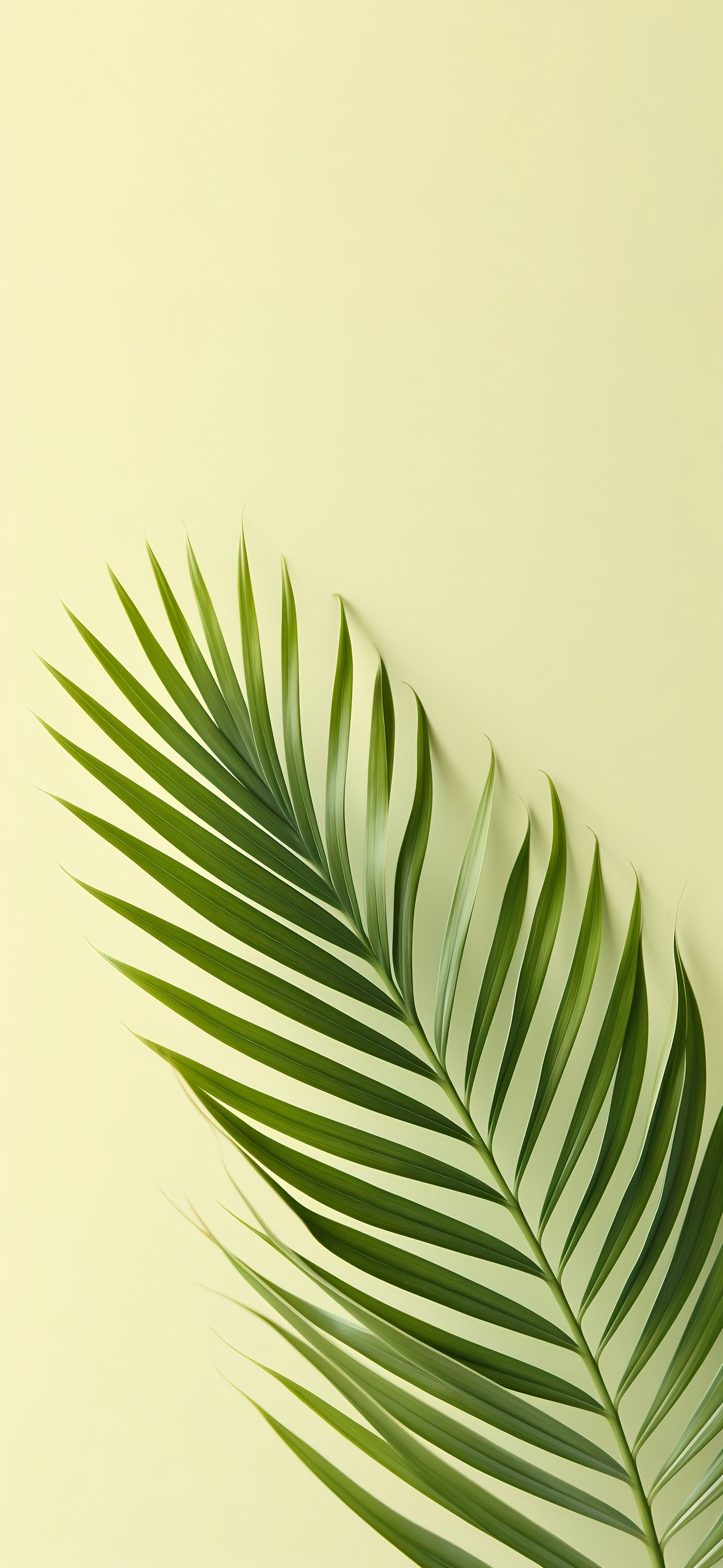 莱分享[超话] 今日 iPhone 壁纸分享·2 ​​​