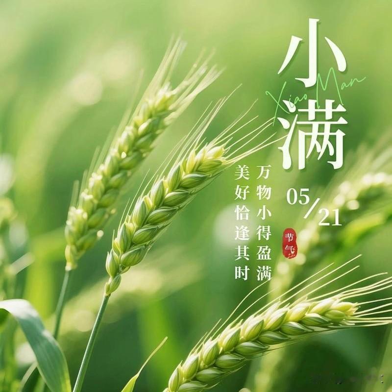小满到了！看似普通的节气，却是庄稼管护的黄金时期
 




很多农村朋友只知道