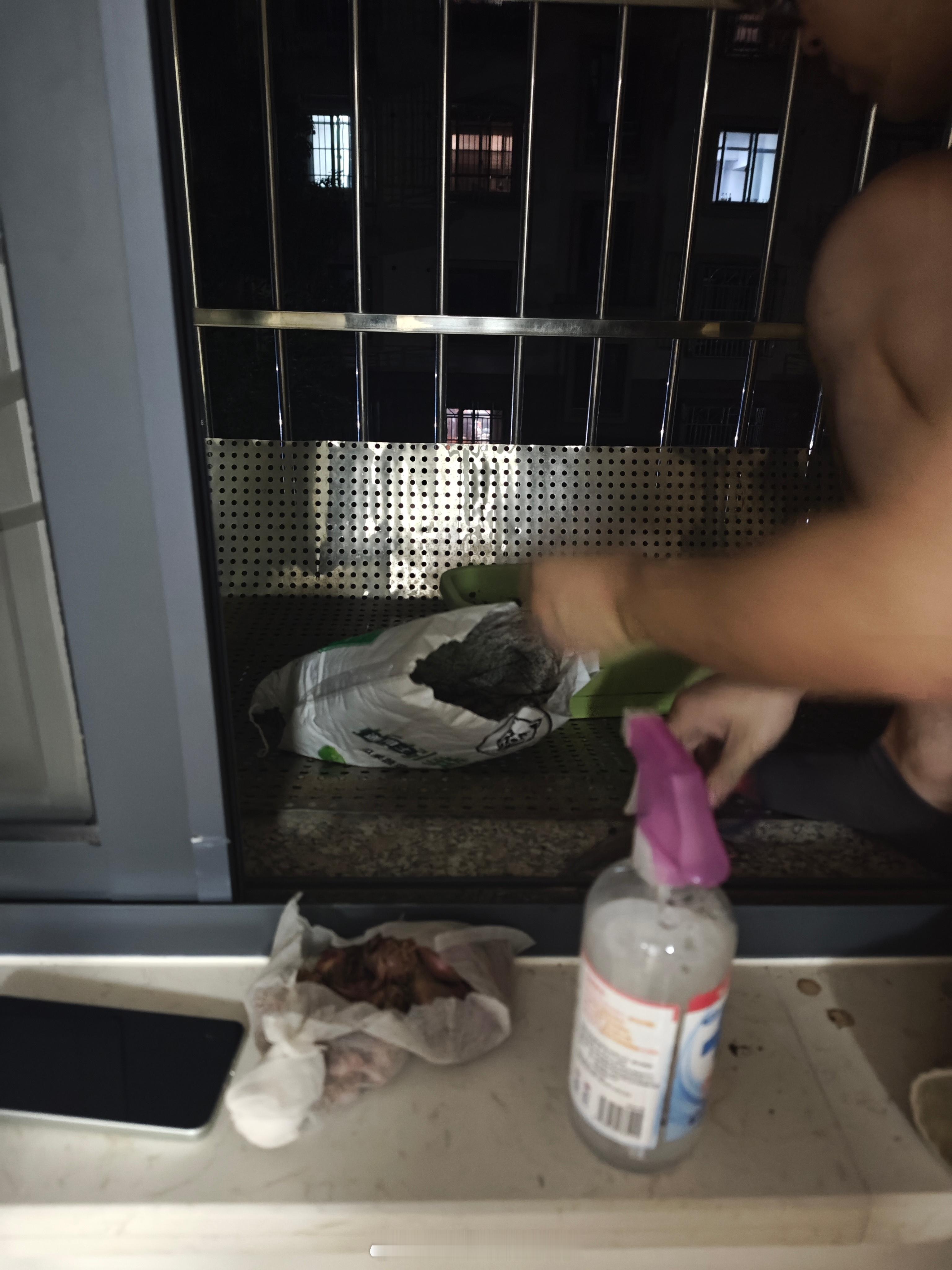半夜在阳台种葱从厨艺到园艺一个居家男人的自我修养 ​​​