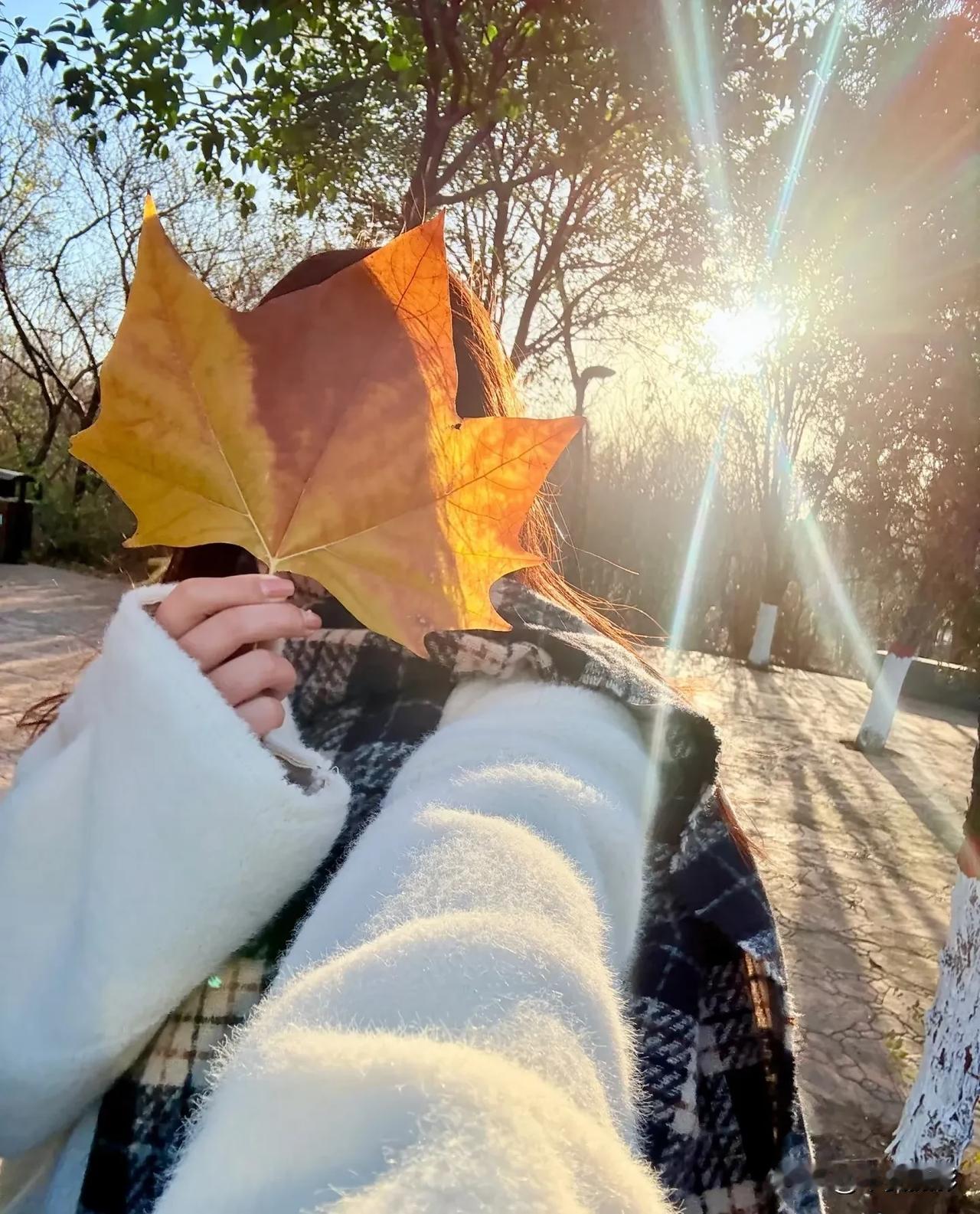 逆光拍摄也能出片。。。