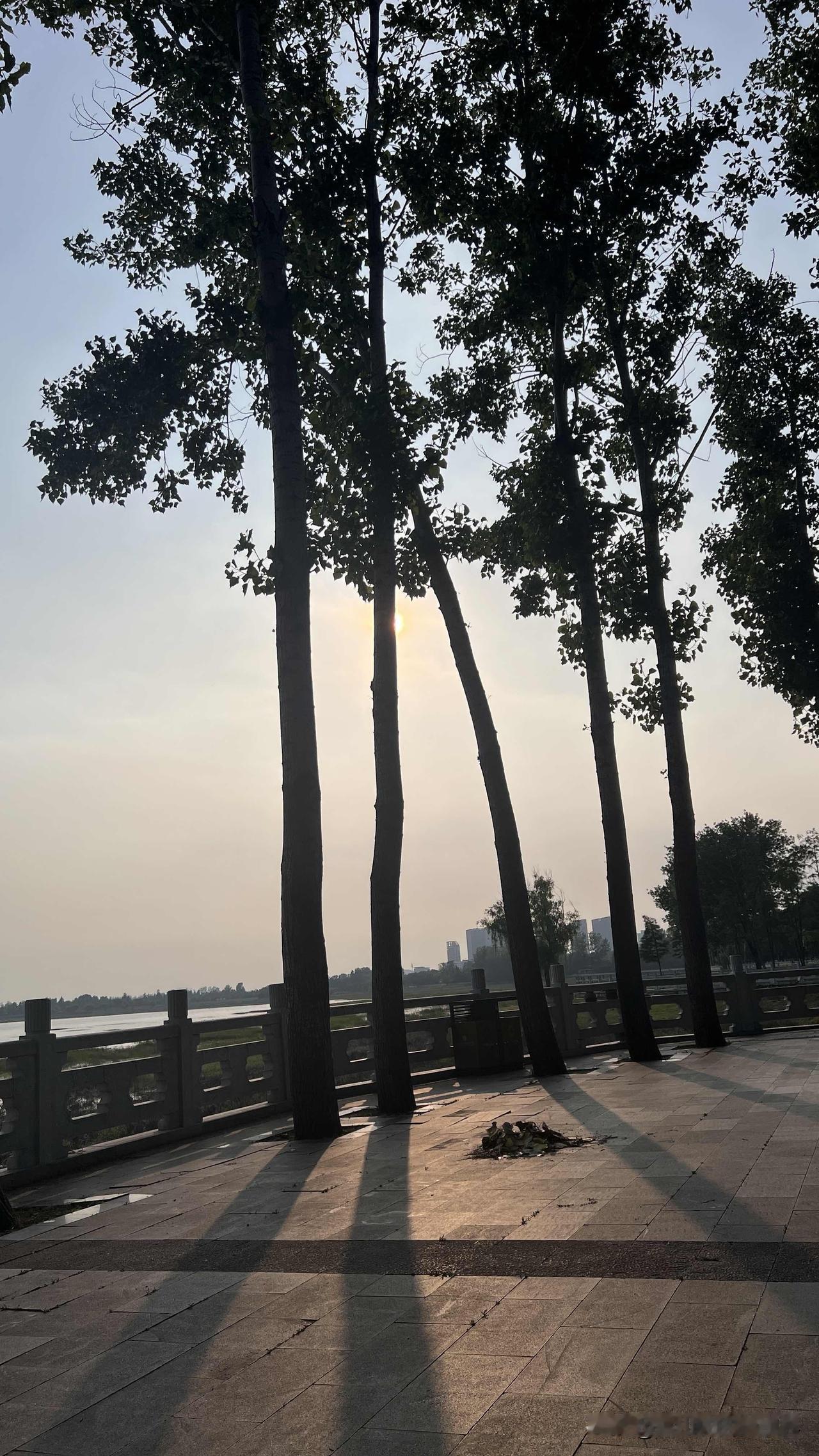 其实吧！头条写多了，有两个问题会受到瓶颈，一是垂直问题，一是素材话题问题，我以切