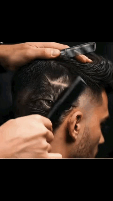 这个发型，家里面老鼠很多吗？