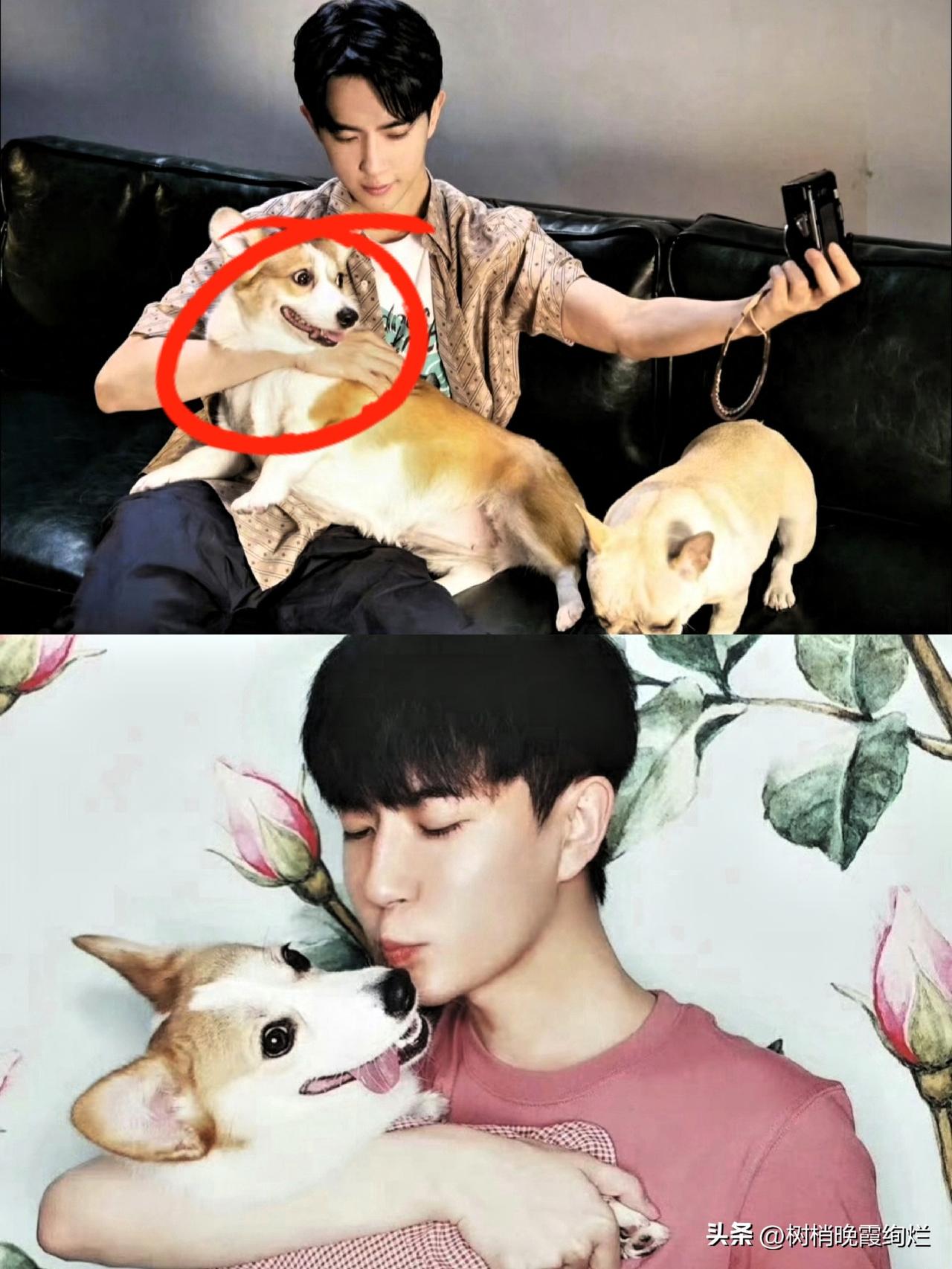 于朦胧这事最大的疑点，
其实不是扣开的纱窗，
也不是所谓的名表，更不是朋友家，而