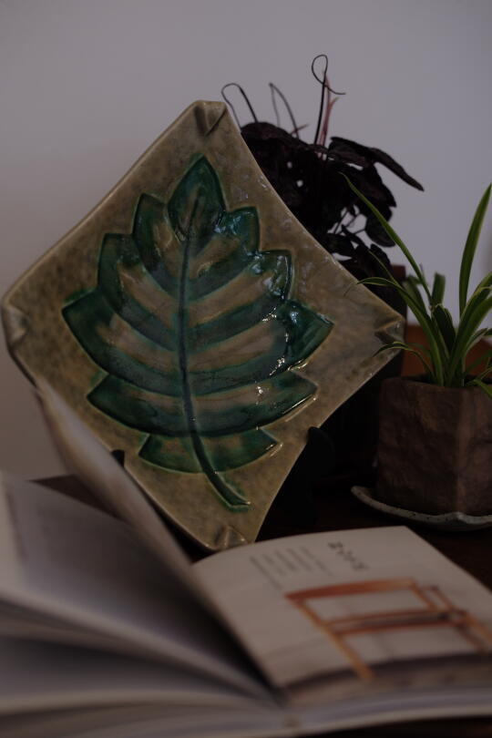 属于夏天的盘子🌿