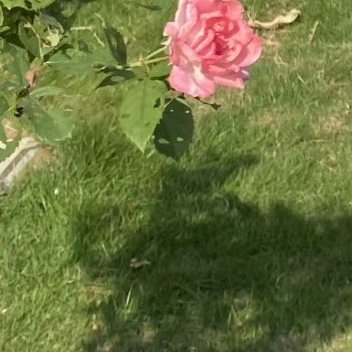 你追求的憧憬虽然到了手，却在到手的一刹那间，改变了面目。——茅盾《蚀》 