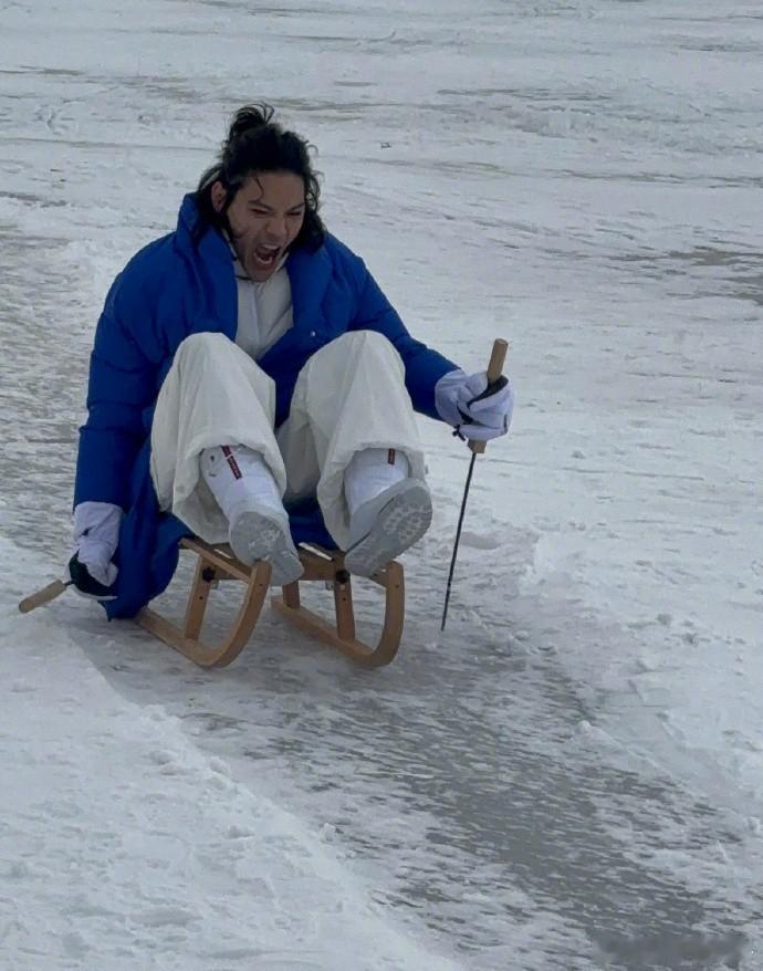 向佐到哈尔滨吃雪  向佐在尔滨一秒钟800个动作  向佐一来到哈尔滨就开启啃雪、