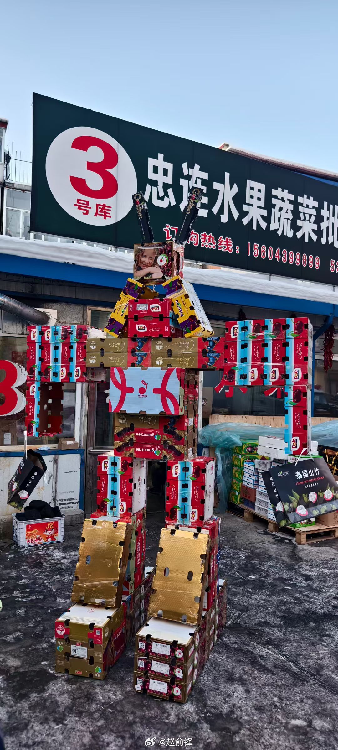 快来看，车厘子机器人临江