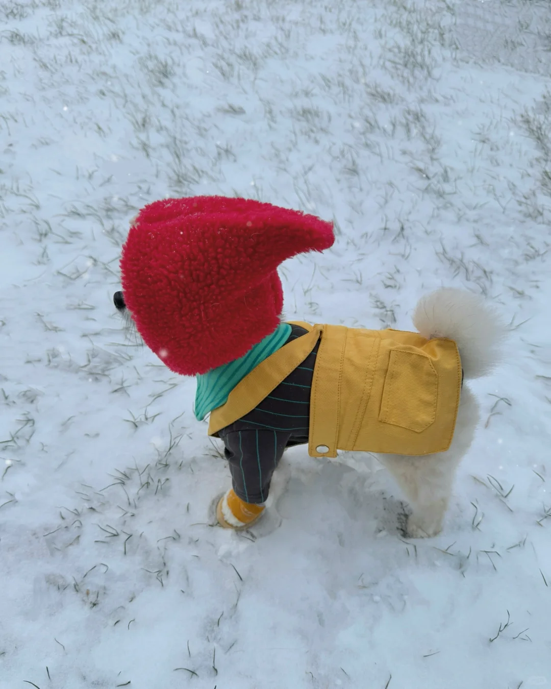 快点下来 我在你家楼下等你啦☃️