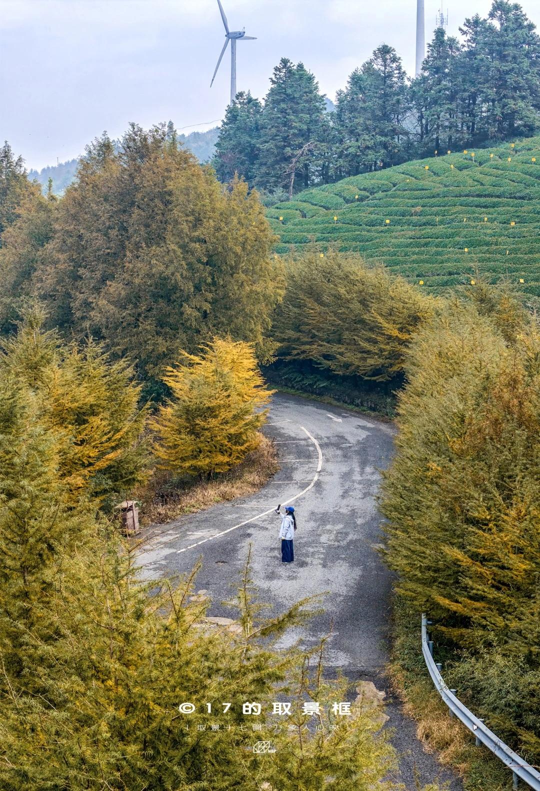 绝美3⃣公里金秋❗️东白山徒步封神攻略来袭
侬好，这里是金华东阳，更是云雾缭绕的