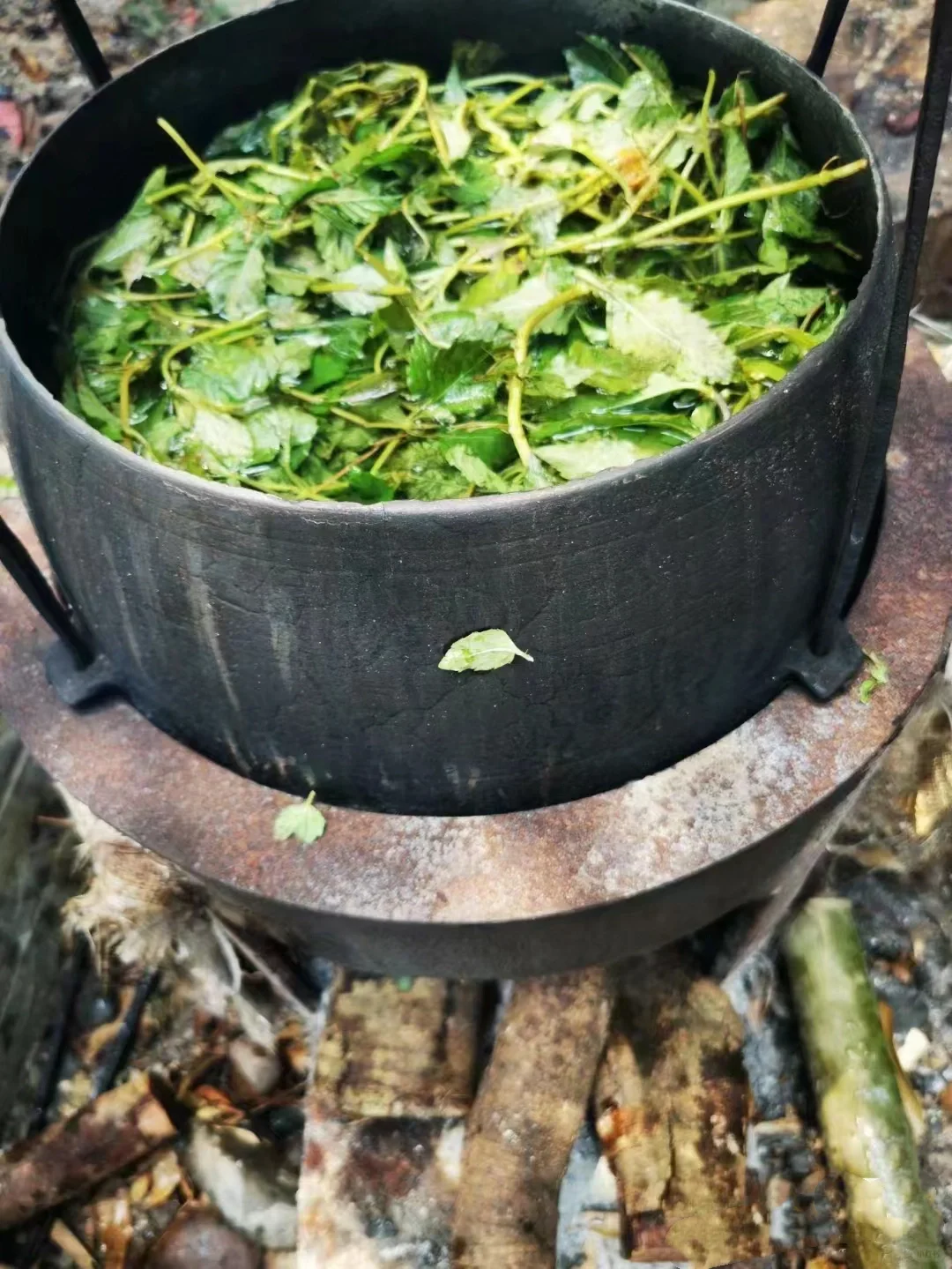 手工凉粉🌱这一道乡村美食你吃过没？