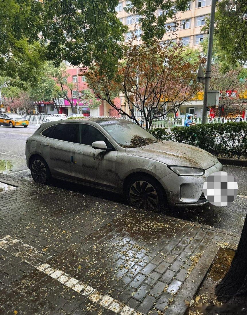 这车停了这么久，还有必要留着嘛[允悲]  ​​​