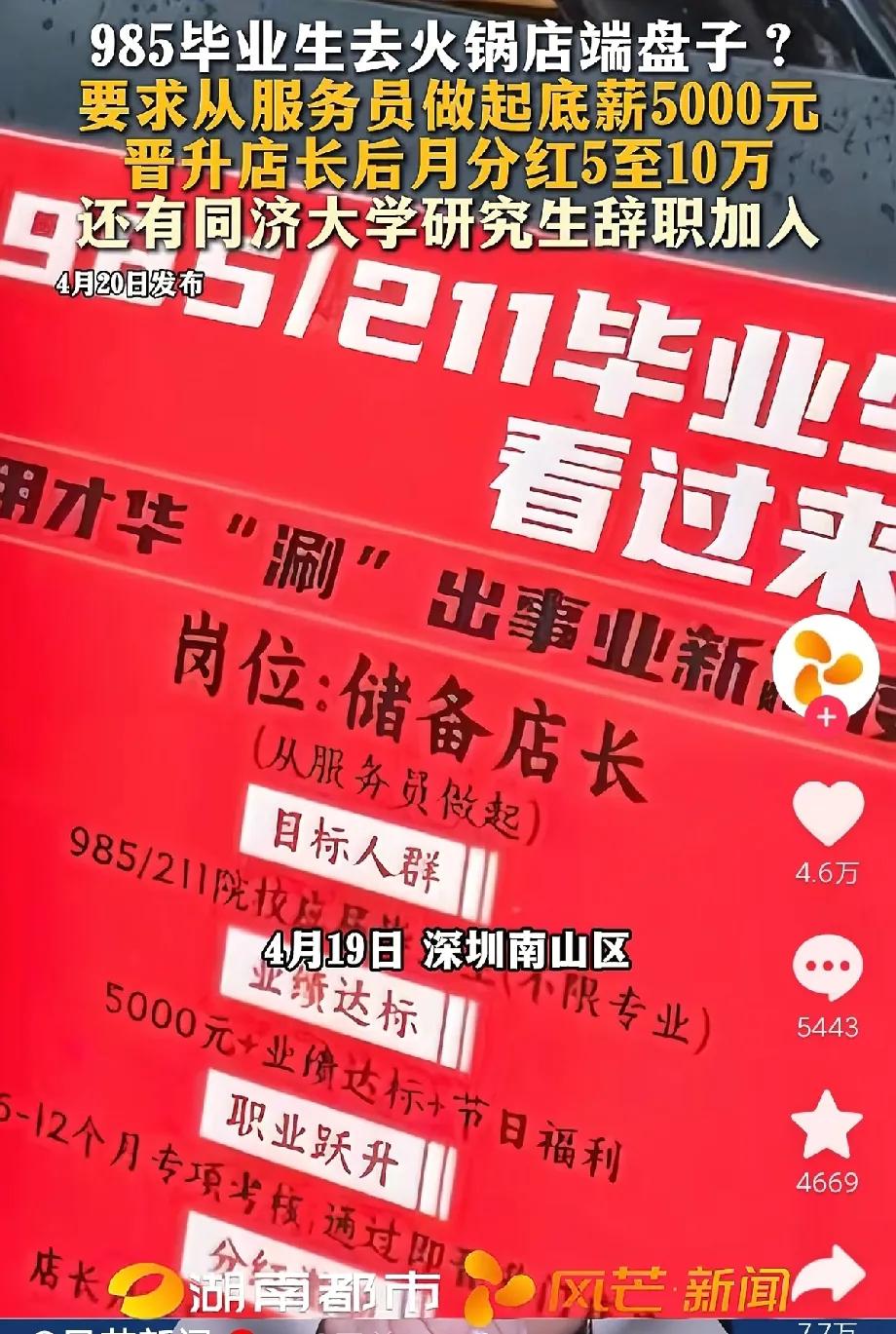 好离谱呀！深圳火锅店最新招聘岗位储备店长学历要求是985或211应届生，如果是应