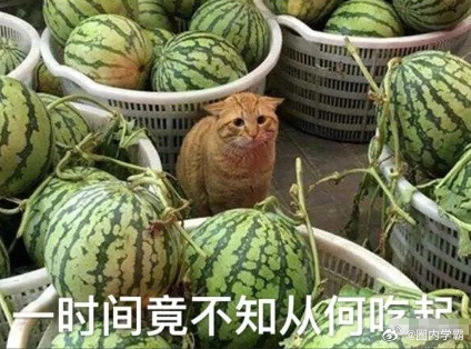 1.孙俪把那个痣去掉后，颜值再上新台阶，她确实比之前更美了，网友说朕与嬛嬛何曾有
