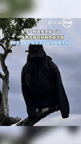 人怎么可以这么聪明!"陕西西安，一女子和朋友去户外徒步，路过一棵光秃秃的树时，女