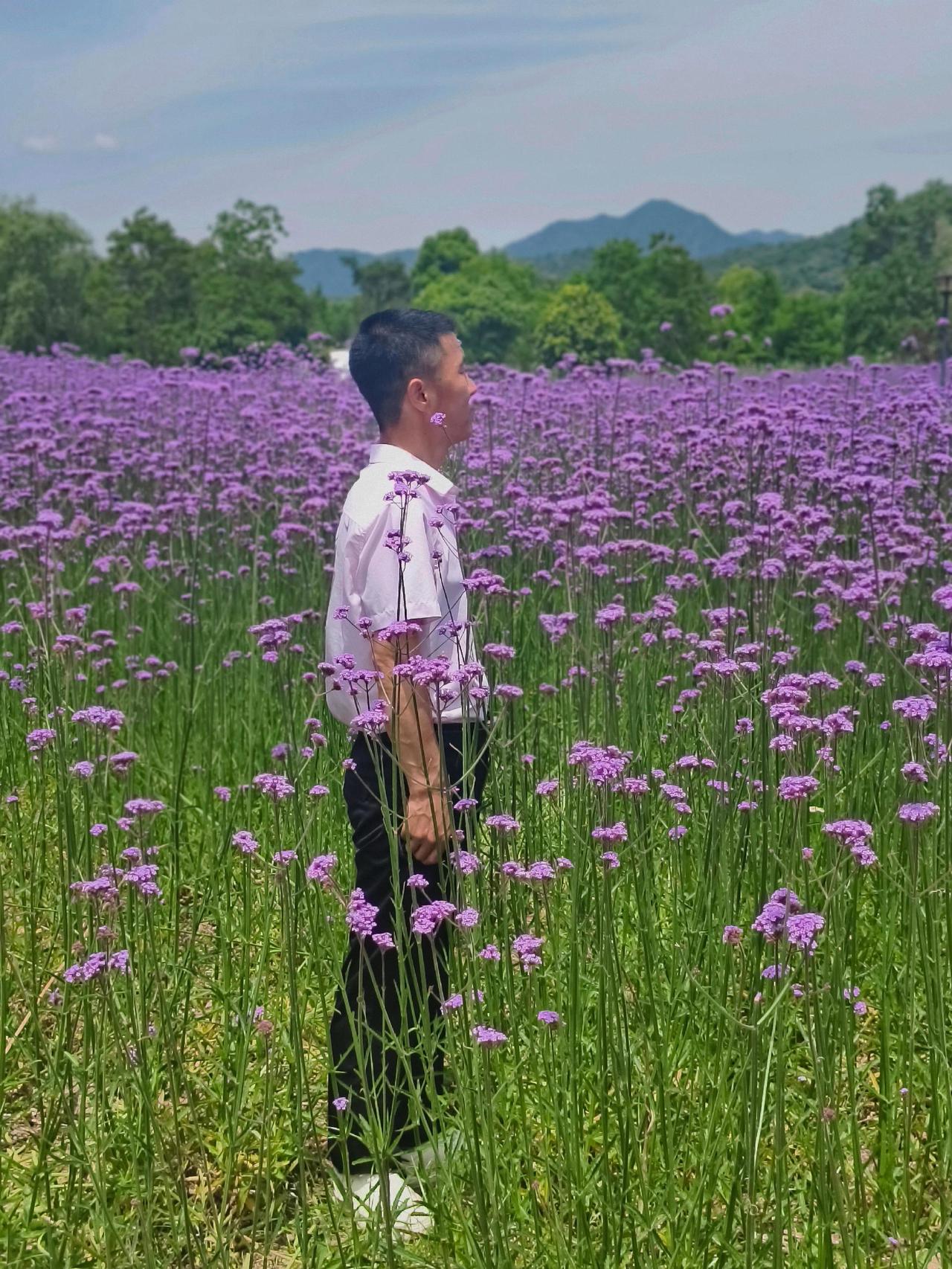 花开处处美