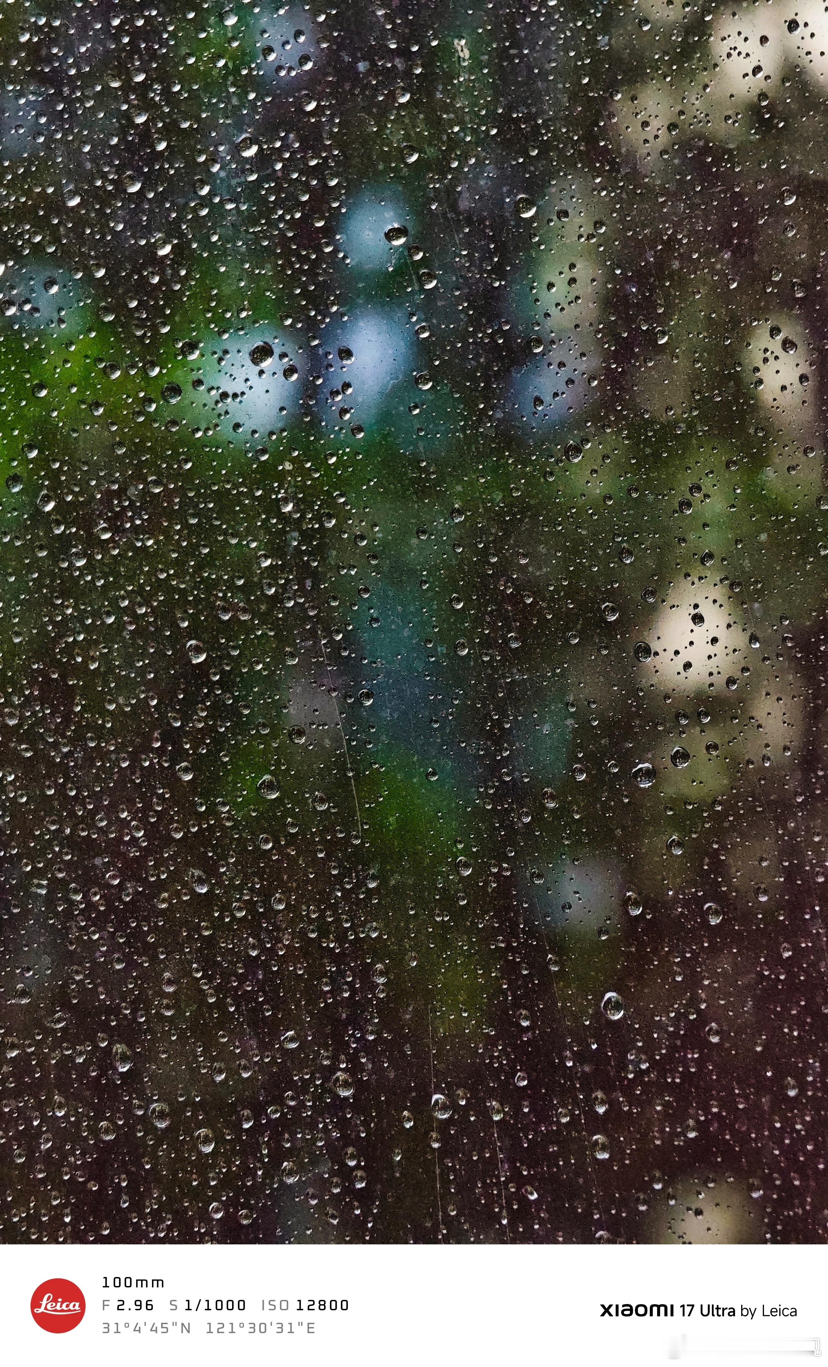 “玻璃窗上的雨痕，是快门裁切下的一片绿” 上海