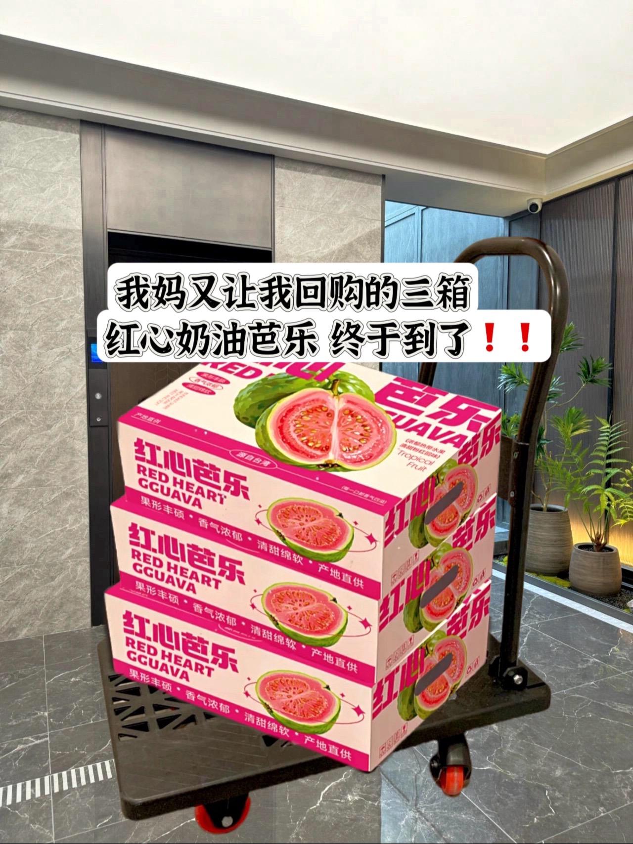 鲜嫩多汁软糯细腻 ＃口感特别好 随手买的都乐红心芭乐，真的惊艳到我了！...