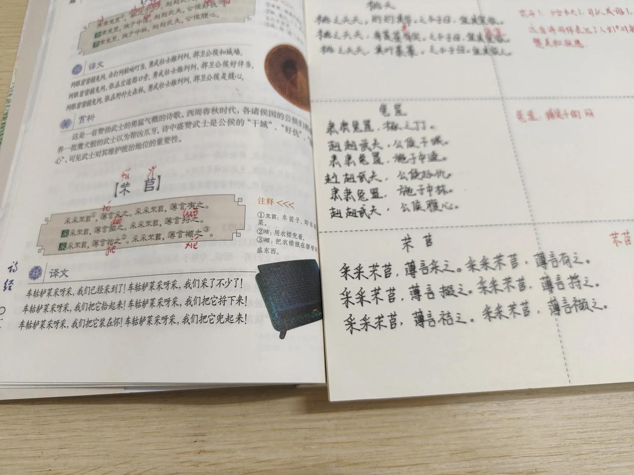 打卡第40天，《芣苢》，芣苢是车前子，味甘性寒，有清热利尿，凉血解毒的功效，这篇