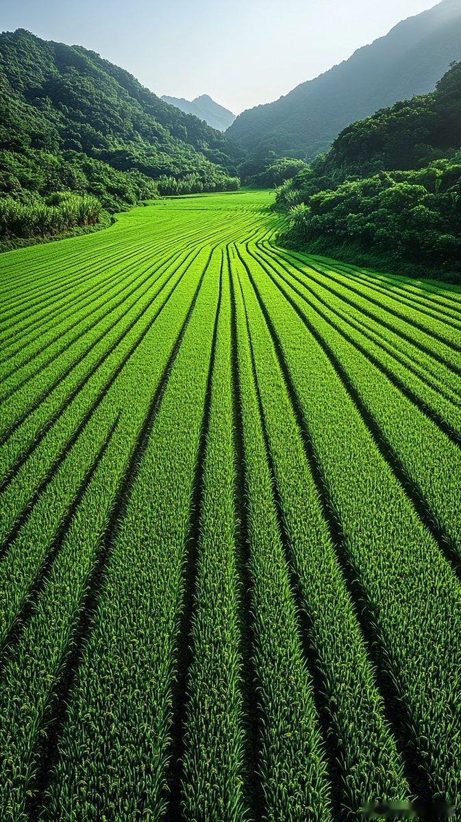 早安 北京