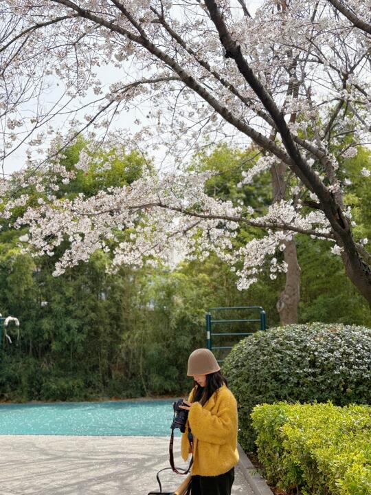 宿州也有属于自己的春和景明