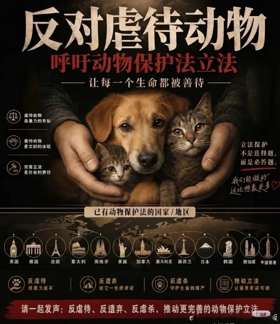 两只小狗遭剥皮离世悬赏1万找虐狗者尊重每个生命不爱请别伤害呼吁动物保护法立法只会